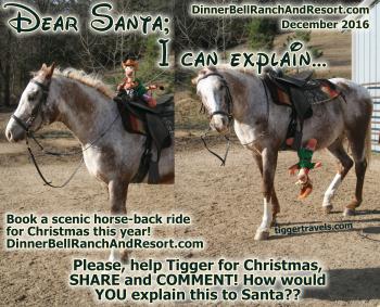Click to enlarge image Tigger and Little Man have some improvement to do on their TEAM WORK! - 9 of #25daysofChristmas! - Dear Santa-I can Explain... Tigger writes his letter to Santa #TiggersLetterToSanta2016 - Tigger needs your help writing his 2016 Christmas letter to Santa! Dinner Bell Ranch and Resort edition