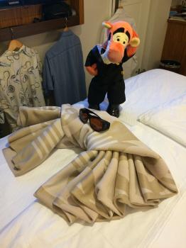 Click to enlarge image At first, Tigger was not sure what this Blanket animal was! - Disney Cruise Line Towel Animals - Towel Critters are a nightly treat on all Disney Cruise Vacations