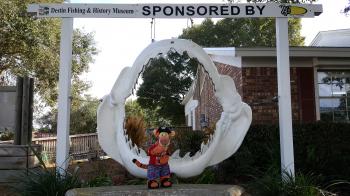 Click to enlarge image Tigger is thinking of swearing off eating fish ever again.... especially if their big brother has jaws and teeth that BIG!!! - The Primrose at the Destin History & Fishing Museum - Working Vessel of Captain John W. Melvin, A Wonderful Slice of Local Lore - The History that Built the World's Luckiest Fishing Village.