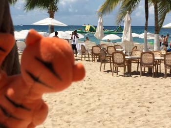 Outdoor seating is also available Outdoor seating is also available - Playa Mia Grand Beach and Water Park - Cruise ship excursion in Cozumel Mexico