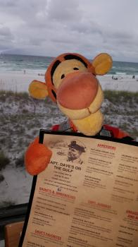 Click to enlarge image Tigger at his table holding the menu. That beach is really RIGHT THERE! Not a photo shopped or adjusted photo at all! LoL - Captain Dave's on the Gulf, Destin, Florida - Seafood that is fresh, memorable and always leaving you wanting more! #Destin #Beach