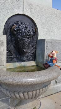 Click to enlarge image Buffalo Head Drinking Fountain - Iowa State Capitol building and the Largest Gold Dome of ALL US State Capitols - Everyone should visit this beautiful five-domed building worthy of housing the Governor of Iowa in Des Moines