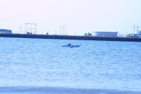Click to enlarge image - Kayaking - West Kistler took us all out on the water