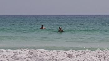 Click to enlarge image Tigger enjoyes the emerald waters of the Florida Panhandle! - Treasure of a Condo for Rent in Destin, Florida - Tigger has his favorite Condo in Miramar Beach, Florida with a pool and only a block from a public beach!