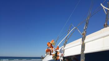 Click to enlarge image Captain John Hale said the wind is getting strong! Waves are picking up!!! Tigger bounced out to the side to try to help keep the 45 foot Lilly upright! HANG ON TIGGER! - Free Lilly - Help the #PhantomoftheAqua Rise Again - #TiggersSailingAdventure2017 #FreeLilly #HelpThePhantomoftheAquaRiseAgain