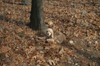 Click to enlarge image - Even George loved the place -