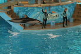  - Sea World in San Antonio, Texas - 