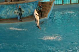  - Sea World in San Antonio, Texas - 