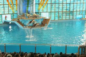  - Sea World in San Antonio, Texas - 