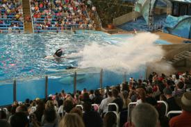  - Sea World in San Antonio, Texas - 