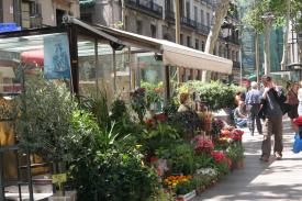 La Rambla and Boqueria Market