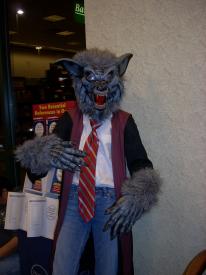 Click to enlarge image - Harry Potter and the Deathly Hallows - Barnes and Noble; Harry Potter NEW Release party July 20 and 21, 2007