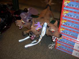 Click to enlarge image - Harry Potter and the Deathly Hallows - Barnes and Noble; Harry Potter NEW Release party July 20 and 21, 2007