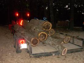 Click to enlarge image  - Hurricane Ike Damage in Northwest Arkansas - 800 miles form the coast, Hurricane Ike left hundreds of trees down and thousands without power.