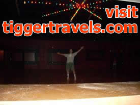 Click to enlarge image  - Roller Skating in Eureka Springs Arkansas at the ESkate - Birthday request to go skating.