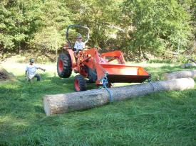 Click to enlarge image - More Pine from Ike Storm Damage! -
