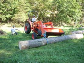 Click to enlarge image  - More Pine from Ike Storm Damage! - 