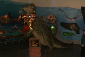 Click to enlarge image  - Salzburg Natural History Museum - Page 2 - Dinosaur Exhibit