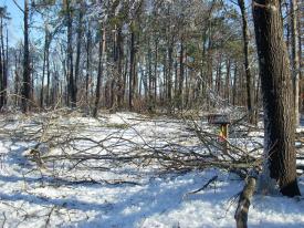  - 2009 Ice Storm hits North West Arkansas with a VENGENCE!! - We survived the big ice storm of 2009 with our brand new generator!