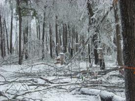  - 2009 Ice Storm hits North West Arkansas with a VENGENCE!! - We survived the big ice storm of 2009 with our brand new generator!