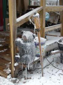  - 2009 Ice Storm hits North West Arkansas with a VENGENCE!! - We survived the big ice storm of 2009 with our brand new generator!