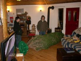 Click to enlarge image  - Christmas Tree at our Cabin - 