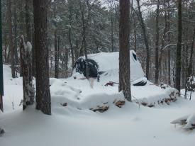 The wood shed in danger of collapsing.  I had to clear it off four times. The wood shed in danger of collapsing.  I had to clear it off four times. - Arkansas Snow, January 28, 2010 - One foot of snow, no school, snow forts, good times!