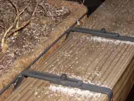 Click to enlarge image - More Snow in North West Arkansas - This neither normal for the Ozarks nor is it RIGHT!!