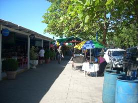 More of the market. To the left is the large pavilion we had fruit drinks and iced tea... sorta More of the market. To the left is the large pavilion we had fruit drinks and iced tea... sorta - Day Nine in Puntarenas, Costa Rica - Panama Cruise January 2011 - Last Trans-canal trip planned for the Disney Wonder at this time.