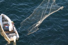 Local fisherman strikes out while testing the waters around the Disney Wonder Local fisherman strikes out while testing the waters around the Disney Wonder - Day Twelve in Manzanillo, Mexico - Panama Cruise January 2011 - Last Trans-canal trip planned for the Disney Wonder at this time.