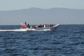  - Day Thirteen and Whale Watching in Puerto Vallarta, Mexico - Panama Cruise January 2011 - Last Trans-canal trip planned for the Disney Wonder at this time.