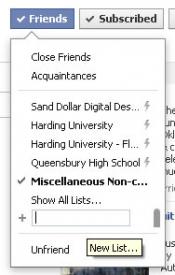 Figure 3. Type a name for your list in the provided box. Figure 3. Type a name for your list in the provided box. - Security on Facebook - Friends Lists and How to Use Them - How To Set Your Security Settings So Selected Friends Cannot See All Your Posts.