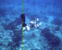 Click to enlarge image - Royal Caribbean - Cozumel, Mexico - Couples of Promise, Christian Cruise Network