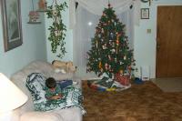 Click to enlarge image  - Christmas - Home Decore