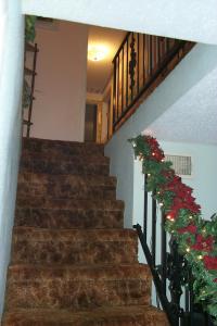 Click to enlarge image - Christmas - Home Decore