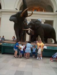 Click to enlarge image - July Vacation - Chicago Field Museum