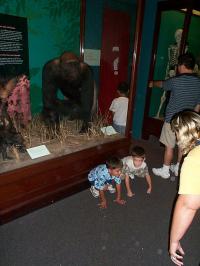 Click to enlarge image - July Vacation - Chicago Field Museum