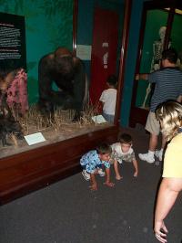 Click to enlarge image  - July Vacation - Chicago Field Museum