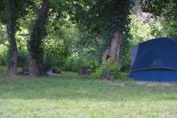 Click to enlarge image - Camping at the Kings River - David and Adam