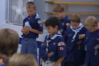 Cub Scouts