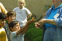 Click to enlarge image  - Corpus Christi Museum - Butterfly Release