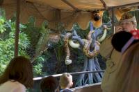 Click to enlarge image - Walt Disney World Vacation - Magic Kingdom - Page Four