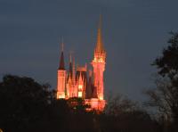 Click to enlarge image - Walt Disney World Vacation - Magic Kingdom - Page Nine