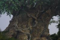 Click to enlarge image  - Walt Disney World Vacation - Animal Kingdom - Page One