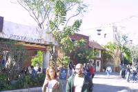 Click to enlarge image - Walt Disney World Vacation - Animal Kingdom - Page Five