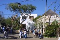 Click to enlarge image - Walt Disney World Vacation - Animal Kingdom - Page Five